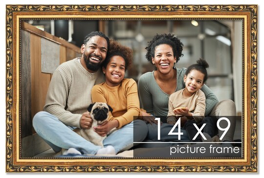 14x9 Solid Wood Antique Picture Frame with UV-Resistant Acrylic & Acid-Free Backing, Available in 4 Finishes: Bronze, Gold, Silver, and Gold with Black